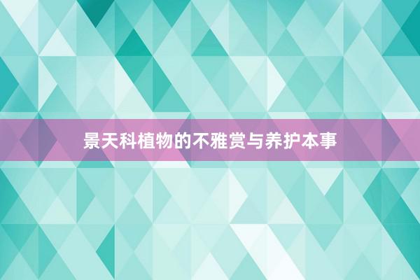 景天科植物的不雅赏与养护本事